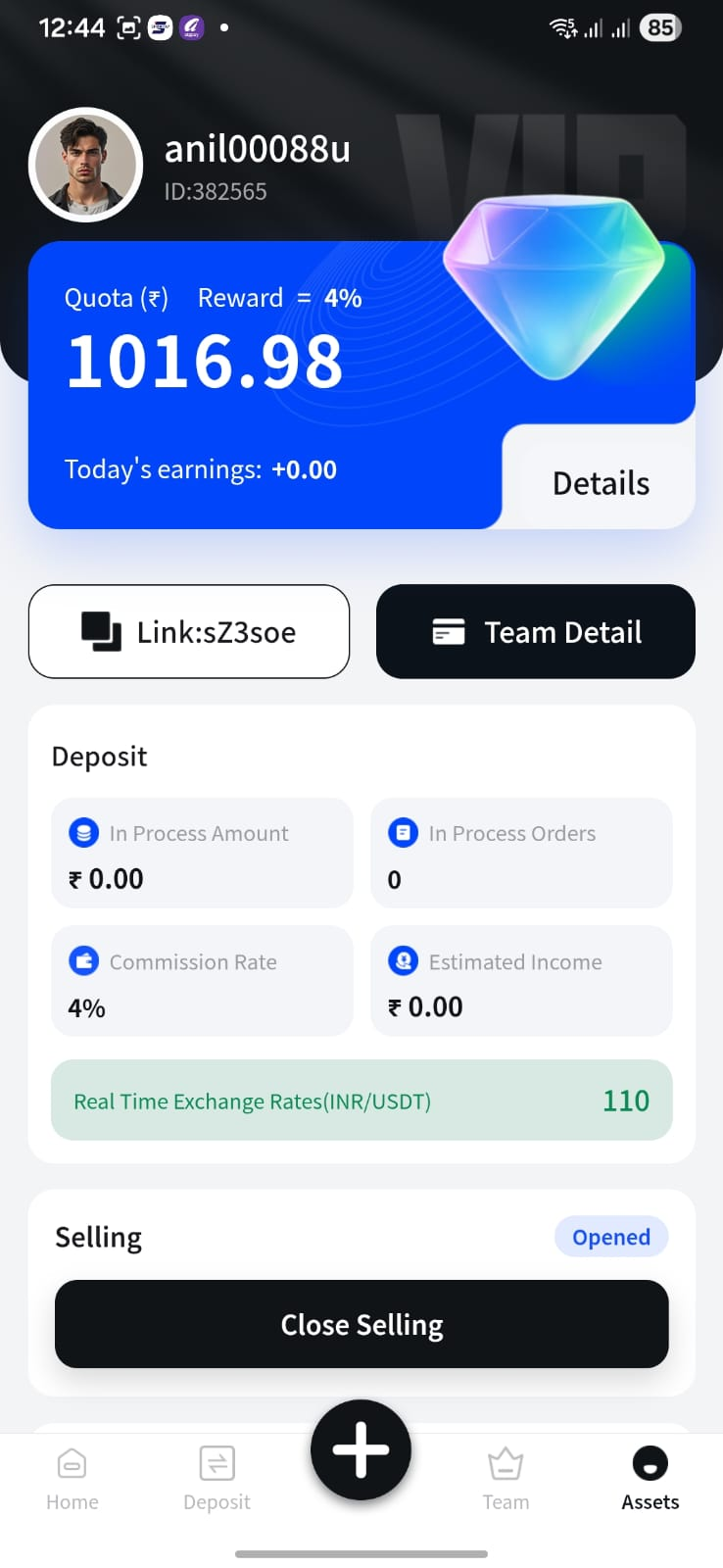 Diwa Pay asset center screenshot